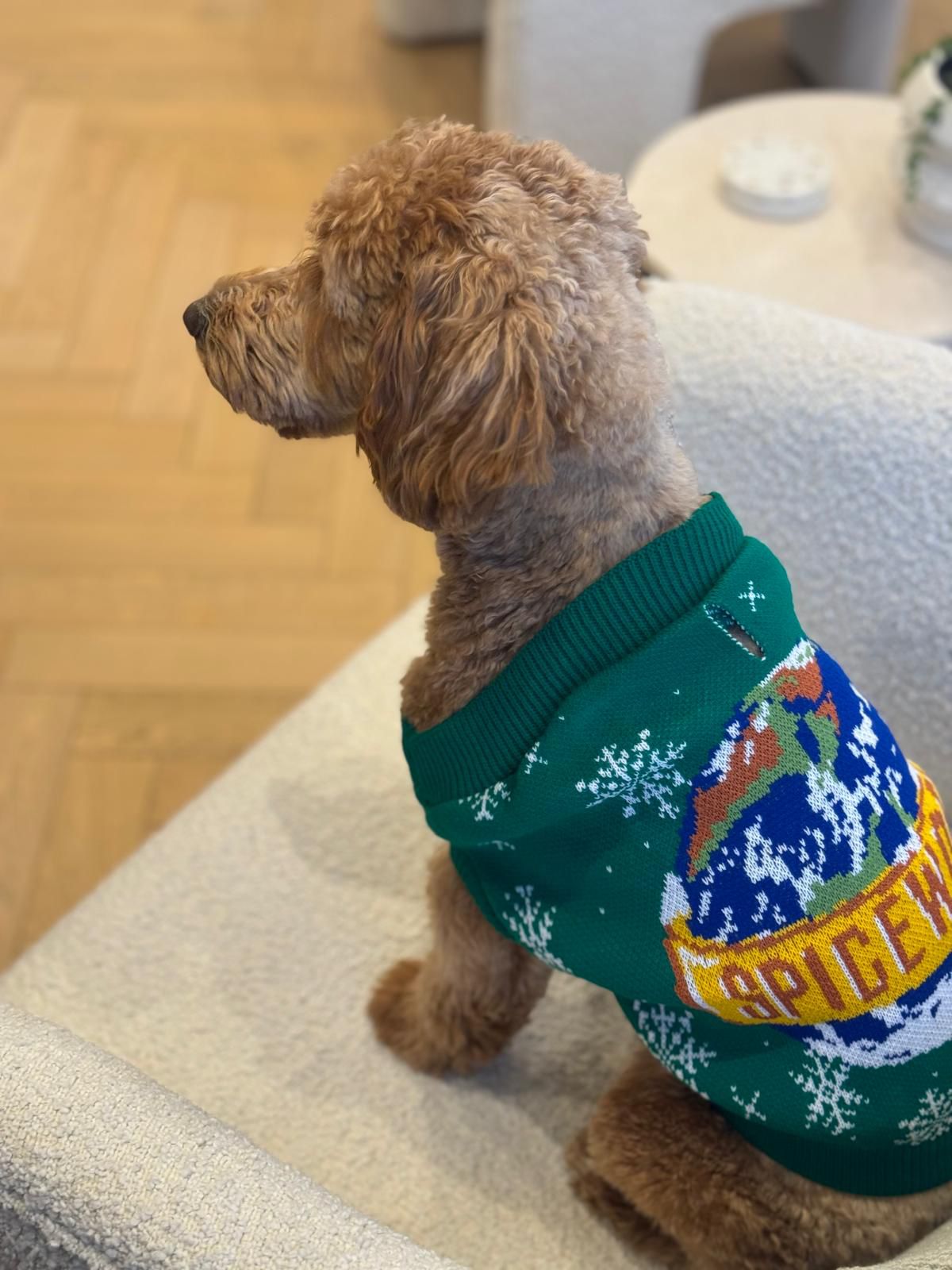 Spice Girls - Spiceworld Christmas Pet Knit Sweater